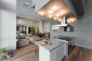 A Residential Kitchen at The Paramount