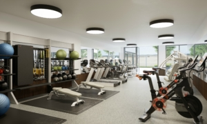 The Gym at The Standard Condos