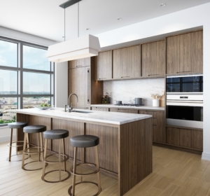 Residential kitchen at The Standard Condos